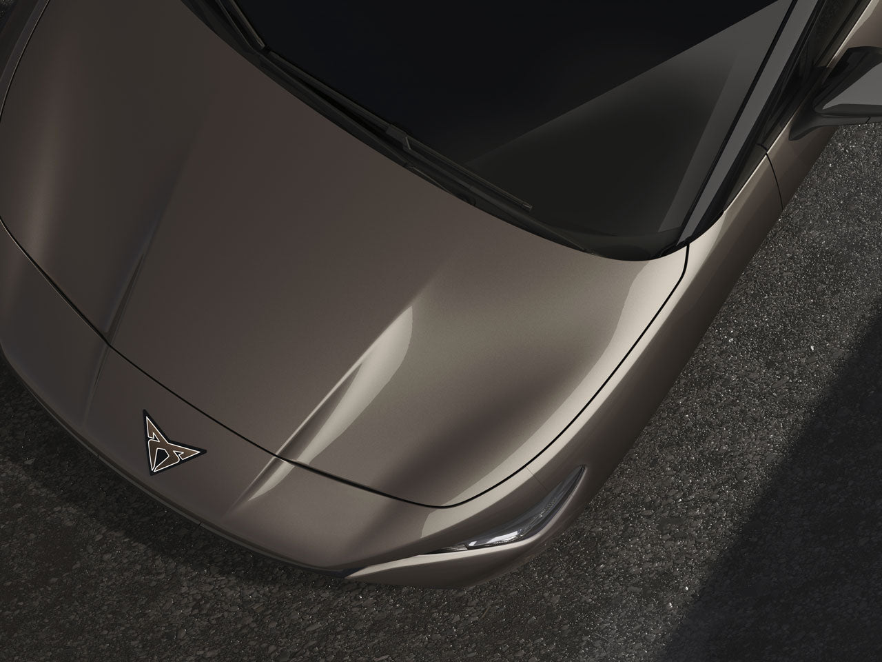 Genuine Cupra Tavascan Atacama Desert Touch-Up Pen