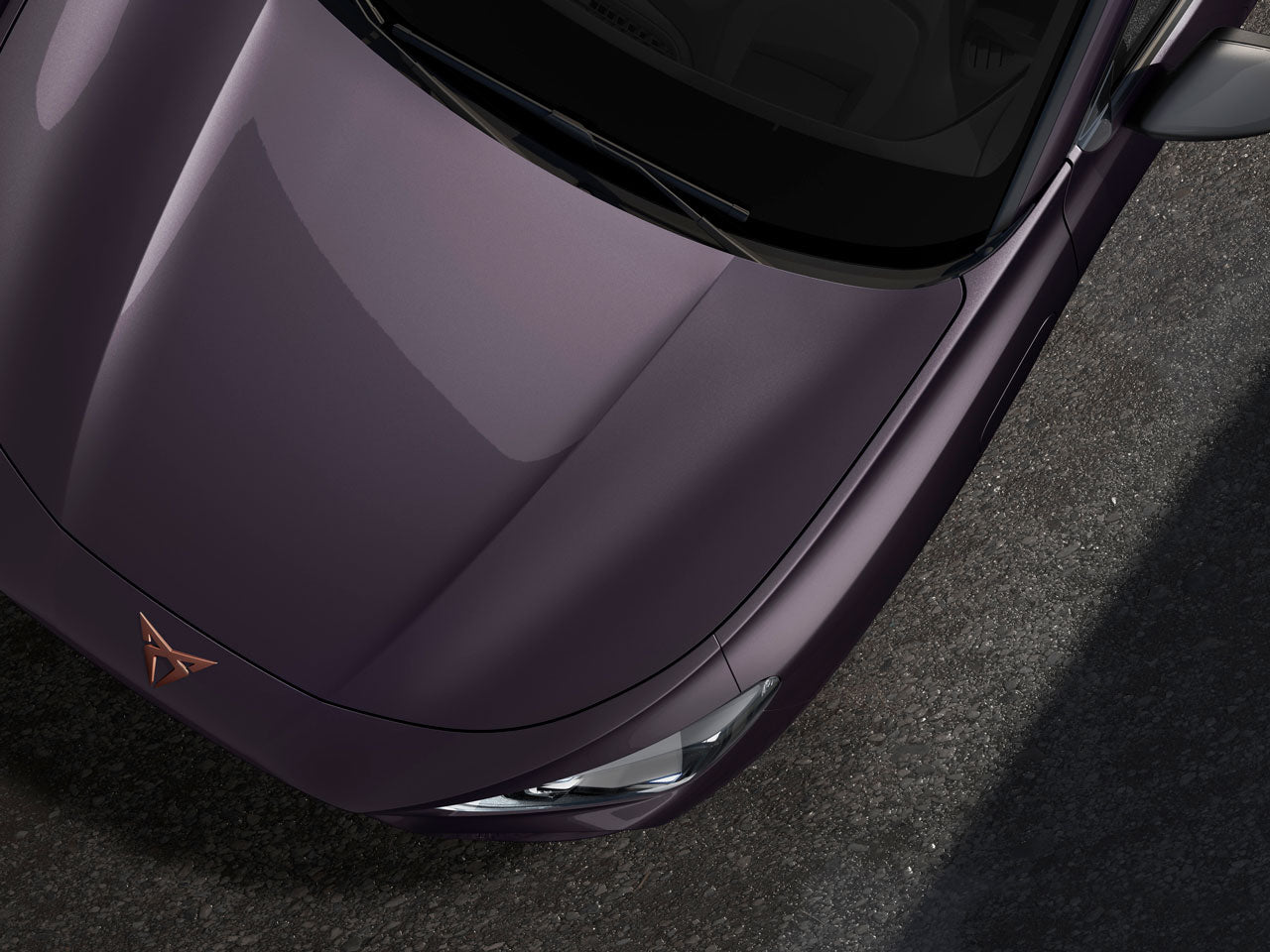 Genuine Cupra Terramar Dark Void Touch-Up Pen