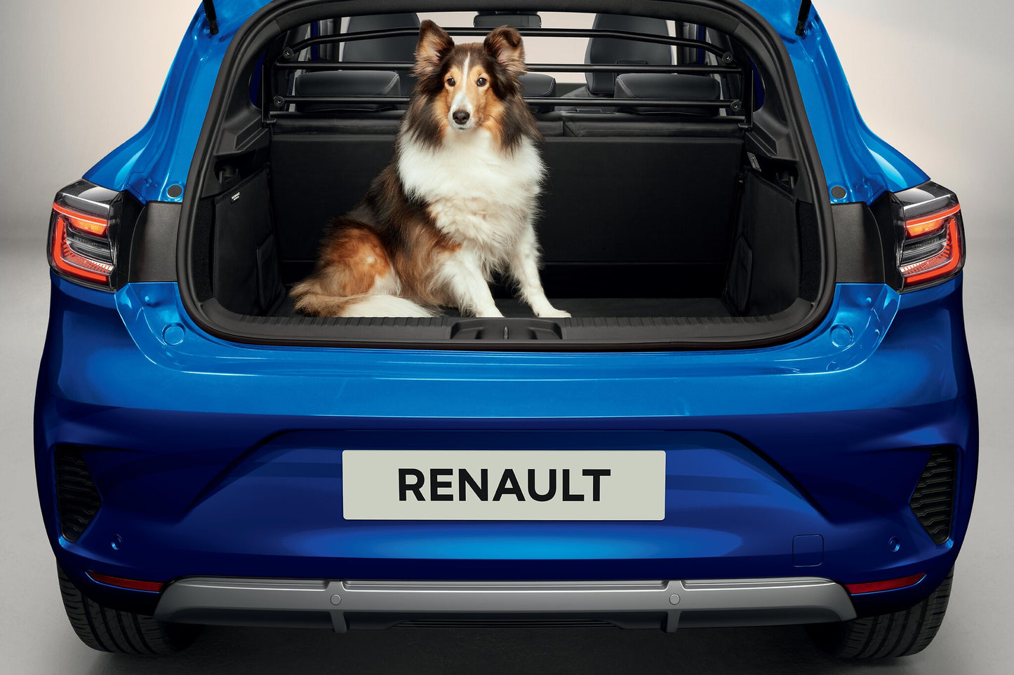Genuine Renault Clio Partition Grille