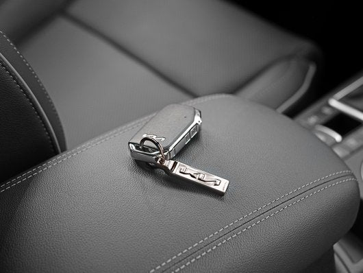 Genuine Kia Key Ring