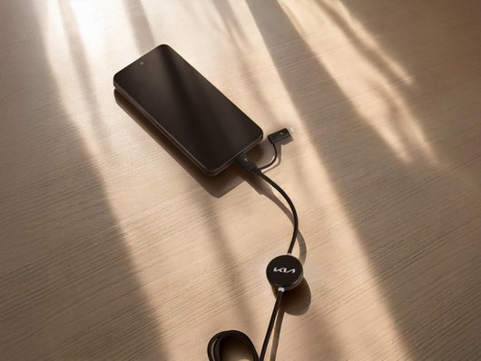 Genuine Kia Multi-USB Cable