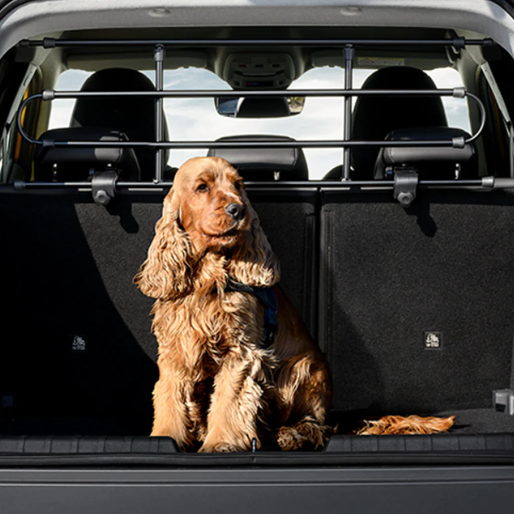 Genuine Abarth 600e Dog Guard Plastic
