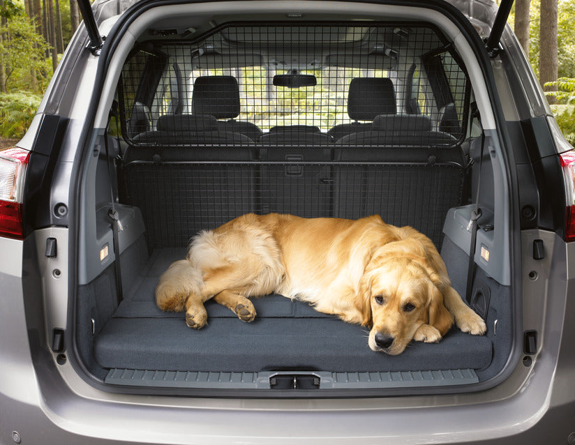 Genuine Ford Grand C-Max Dog Guard Lower