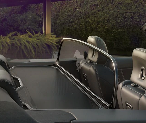 Genuine Ford Mustang Convertible Wind Deflector