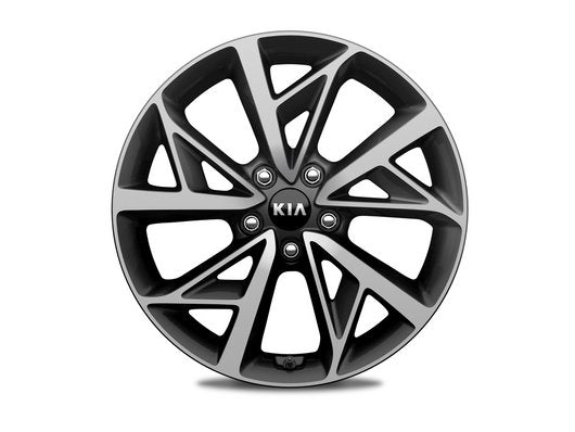 Genuine Kia Niro Hev 18" Alloy Wheel Kit, Type-B