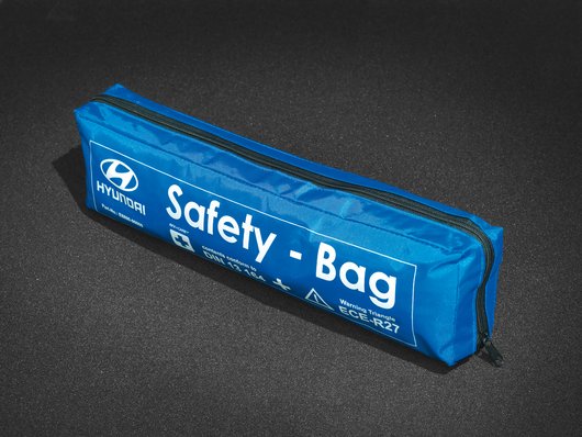 Genuine Hyundai Kona Electric Safety Bag