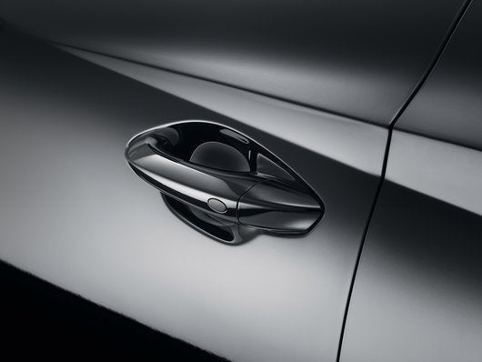 Genuine Hyundai Tucson Hybrid Door Handle Recess Protection Foils