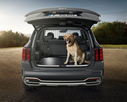 Genuine Kia Sorento Phev Dog Guard, Lower Frame