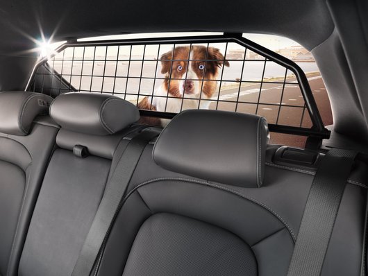 Genuine Hyundai Kona Hybrid Dog Guard