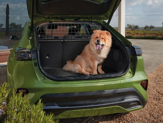 Genuine Kia Xceed Dog Guard