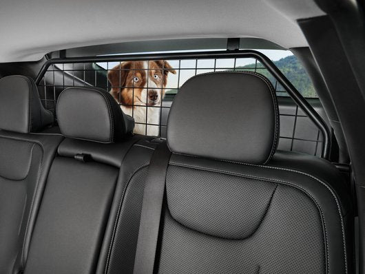 Genuine Kia Ev6 Dog Guard