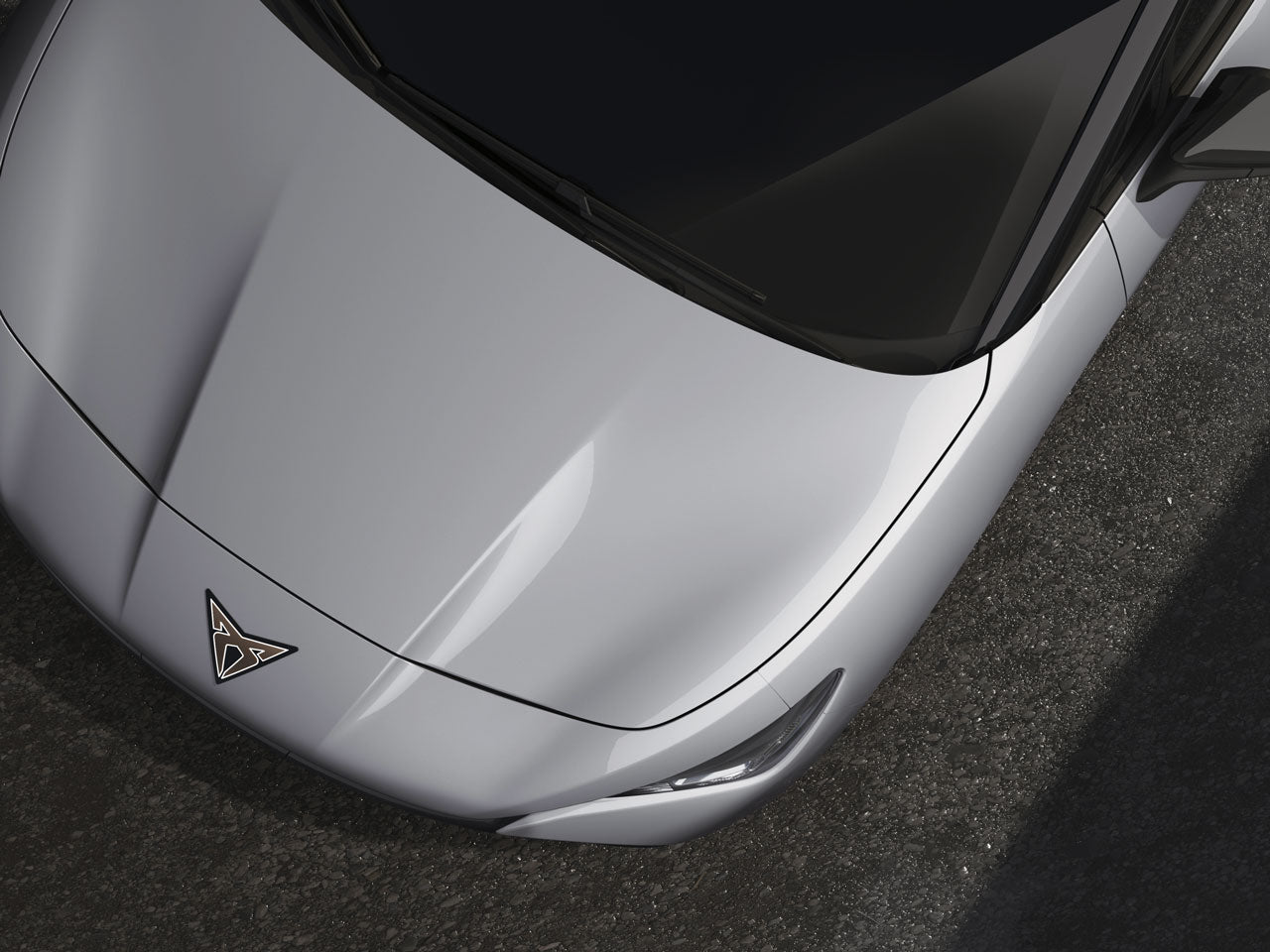 Genuine Cupra Tavascan White Silver Touch-Up Pen