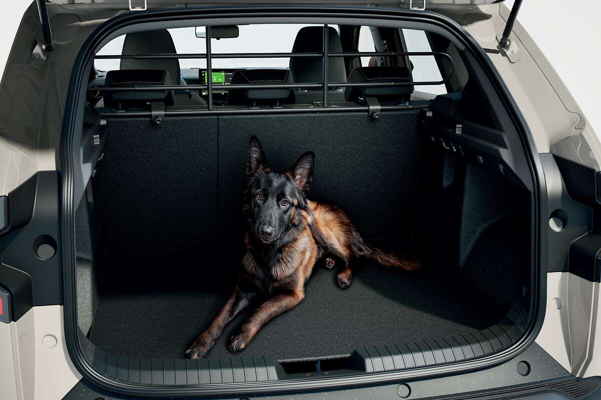 Genuine Dacia Bigster Dog Guard