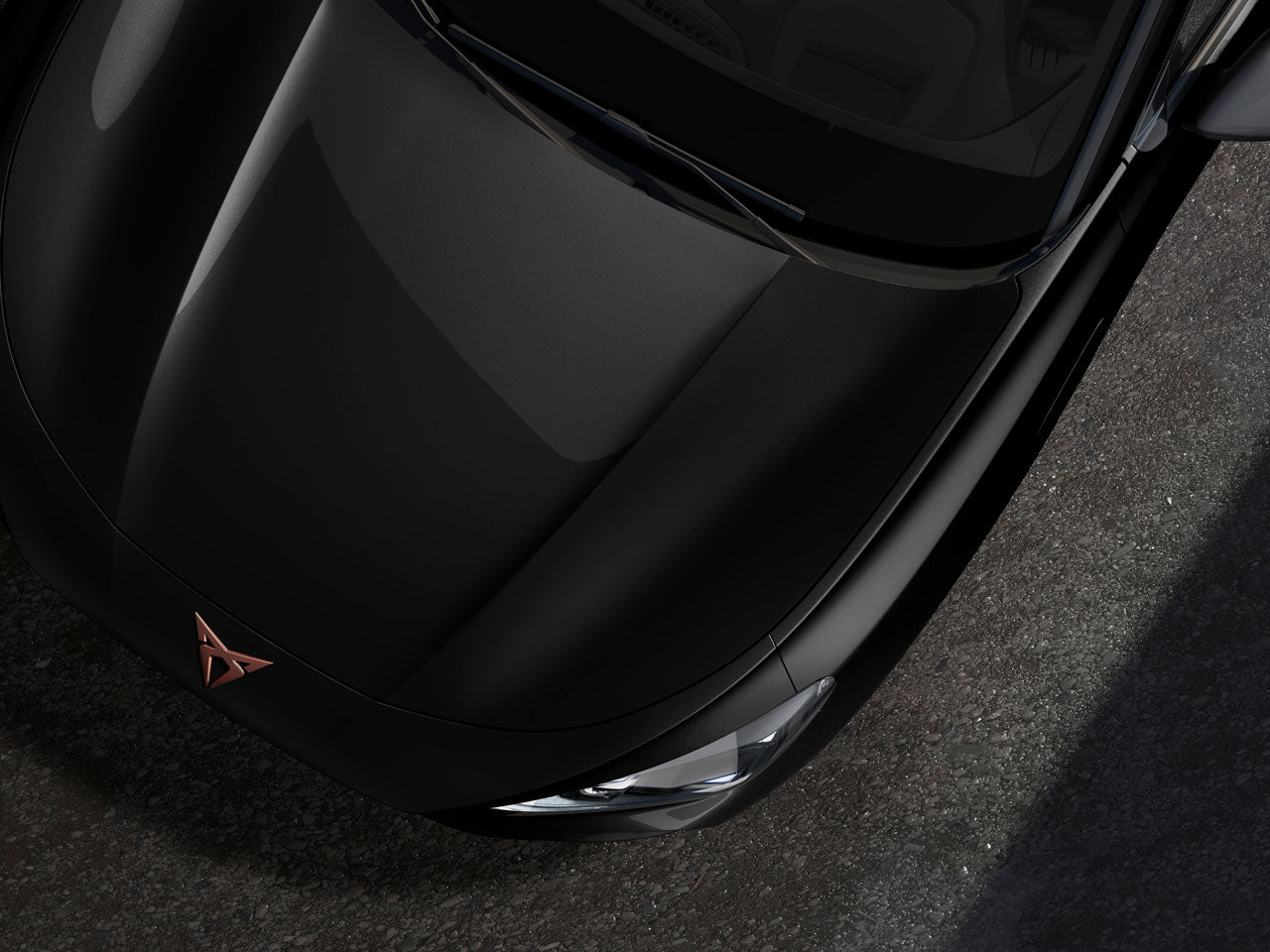 Genuine Cupra Terramar Midnight Black Touch-Up Pen