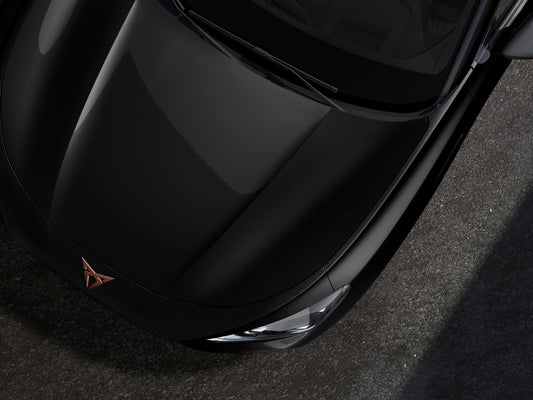 Genuine Cupra Terramar Midnight Black Touch-Up Pen