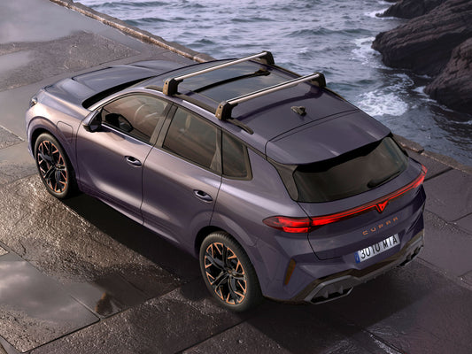 Genuine Cupra Terramar Roof Bars