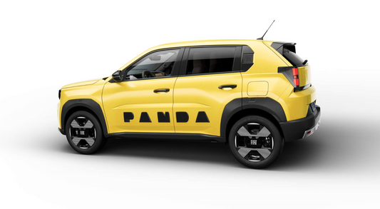 Genuine Fiat Grande Panda Lateral Side Letters