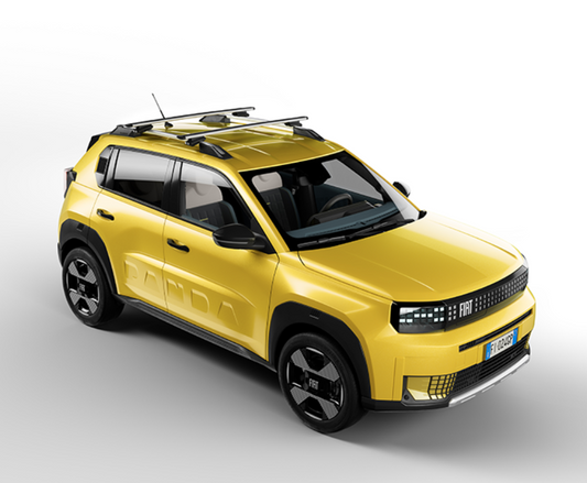 Genuine Fiat Grande Panda Roof Bars, For Longitudinal Bars