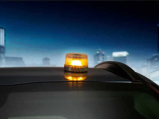 Genuine Kia Warning Light