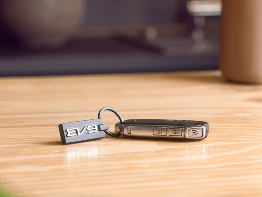 Genuine Kia EV9 Key Ring