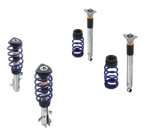 Genuine Ford Fiesta Coilovers