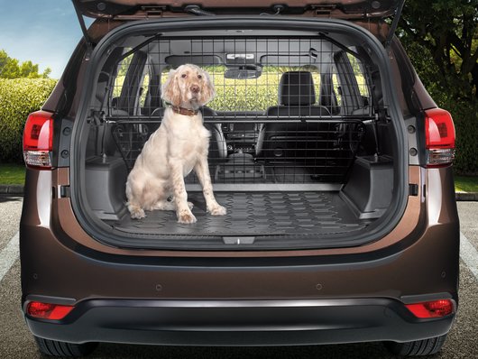Genuine Kia Carens Dog Guard Lower