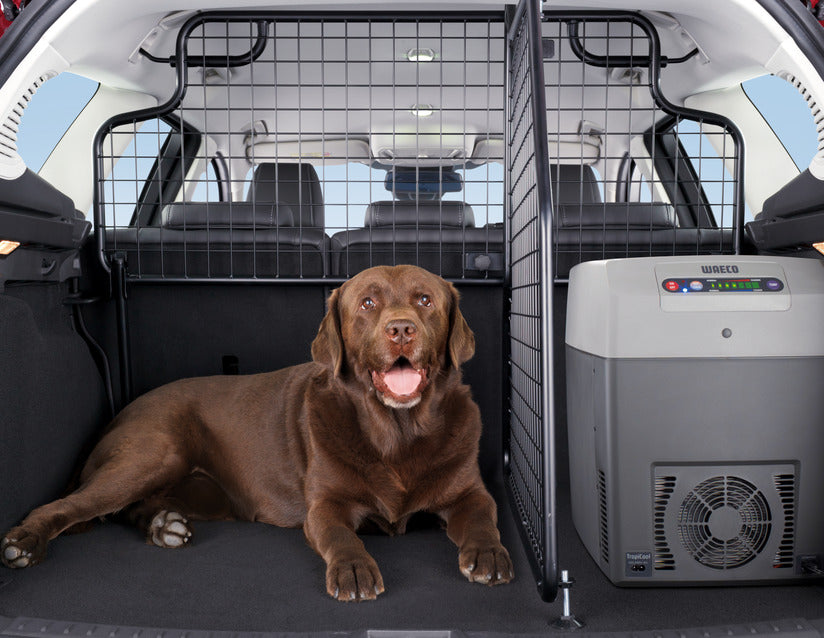 Car boot new arrivals dog guard divider