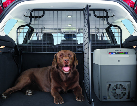 Genuine Ford Focus Estate Half Height Dog Guard