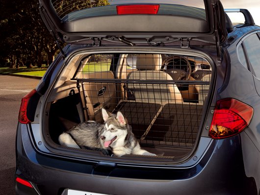 Car cage separator sale