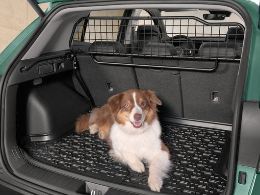 Dog deals guard accessories
