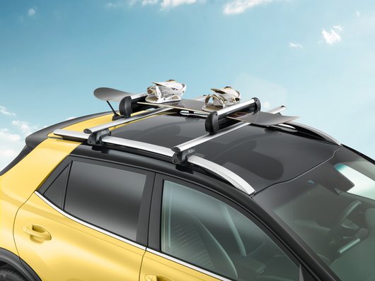 Genuine Kia Stonic Ski Snowboard Carrier 400 66701ADE11 Car