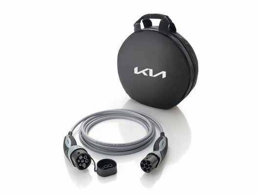 Kia e niro charger type sale