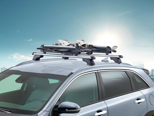 Genuine Kia E-Niro Ski & Snowboard Carrier 600