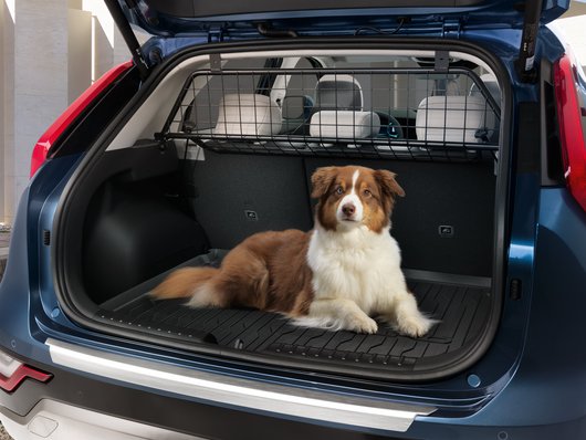 Hyundai kona dog 2025 guard
