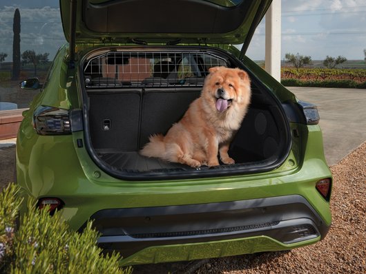 Genuine Kia Xceed Phev Dog Guard